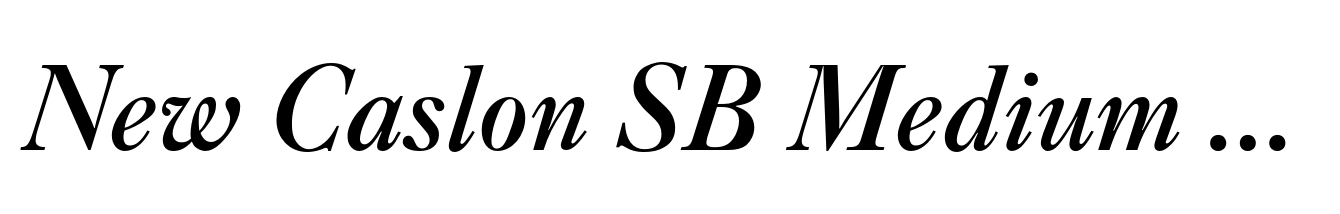 New Caslon SB Medium Italic